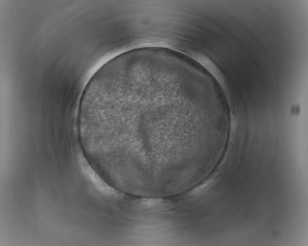 X0000112211052200908211514