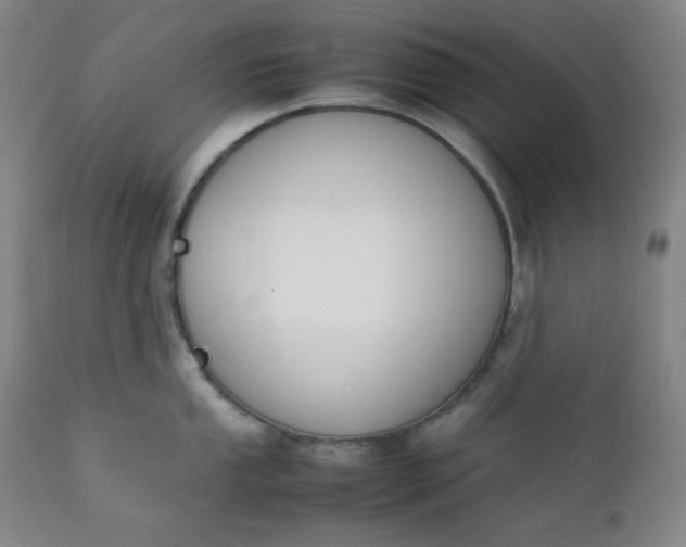 X0000112211053200908211514