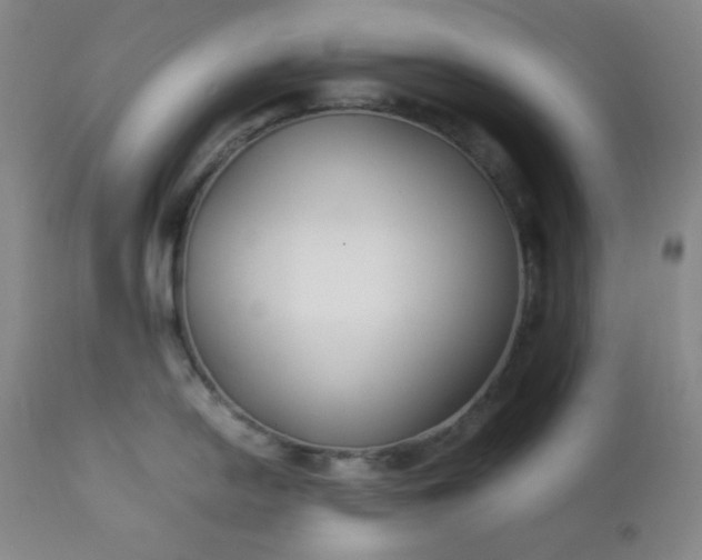 X0000112211054200908211514