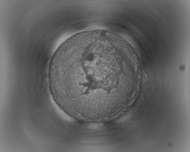 X0000112211055200908211514