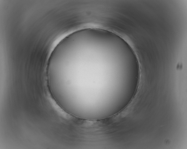 X0000112211056200908211514