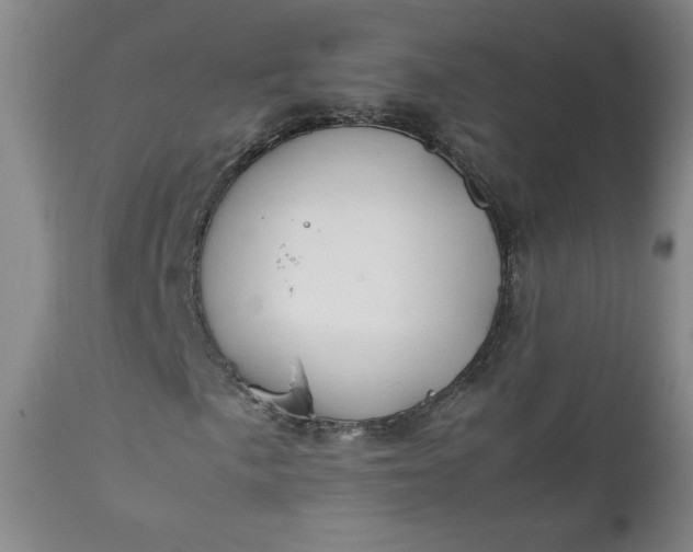 X0000112211057200908211513