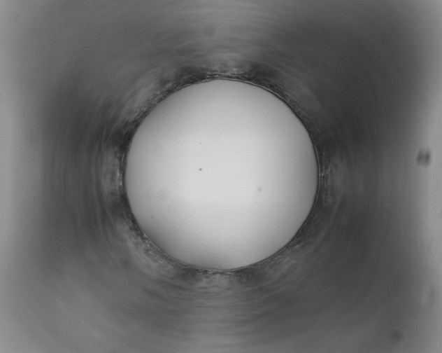 X0000112211058200908211513