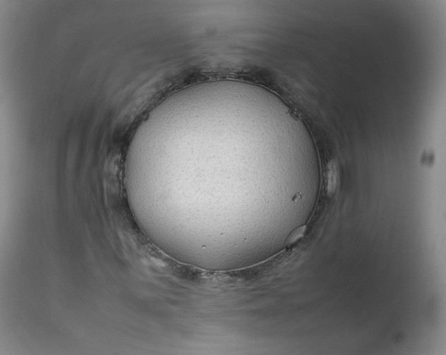 X0000112211059200908211513