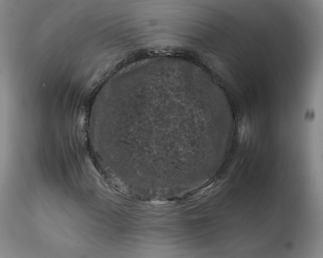 X0000112211060200908211513