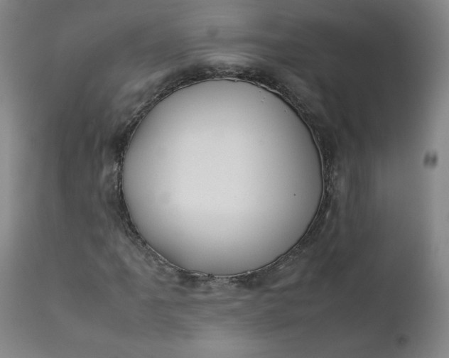 X0000112211061200908211513