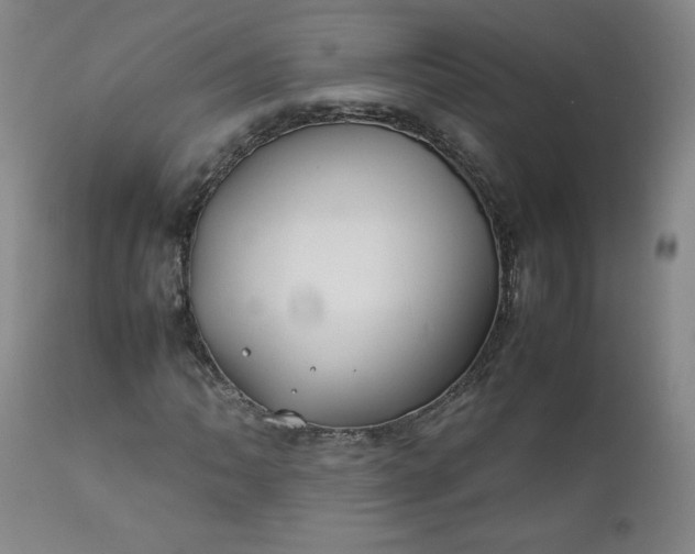 X0000112211062200908211513