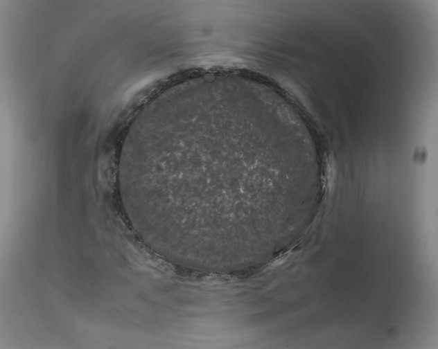 X0000112211063200908211513