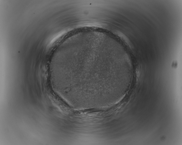 X0000112211064200908211513