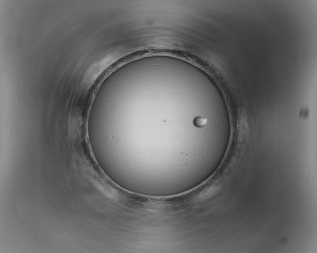 X0000112211065200908211513