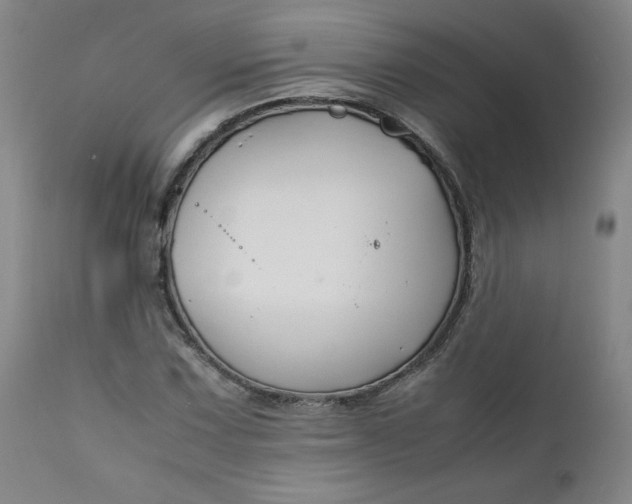 X0000112211067200908211513