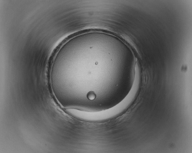 X0000112211068200908211513