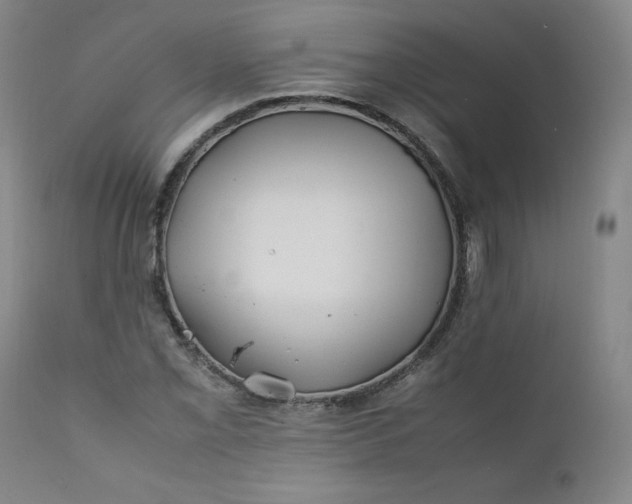 X0000112211069200908211513