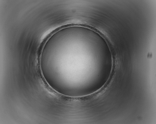 X0000112211070200908211513