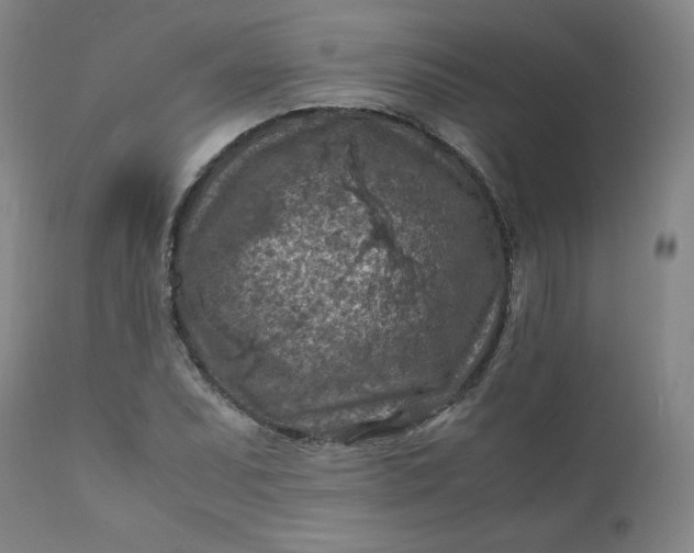 X0000112211071200908211513