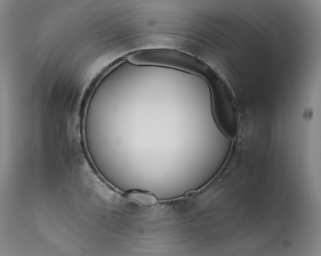 X0000112211072200908211513