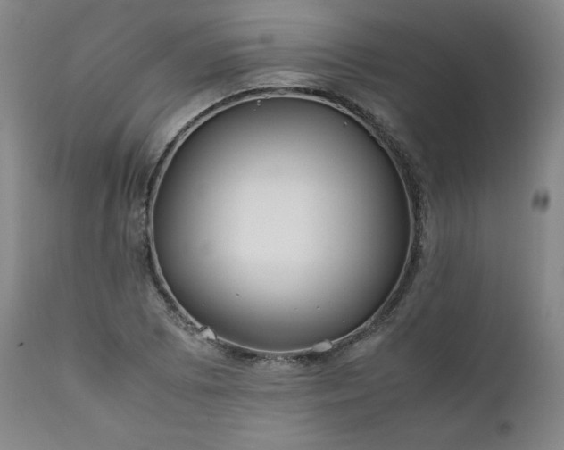 X0000112211073200908211513