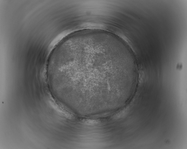 X0000112211074200908211513