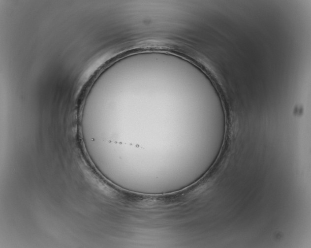 X0000112211075200908211513