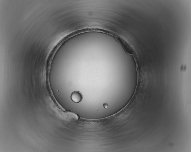 X0000112211076200908211513