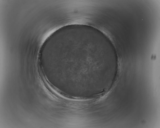 X0000112211077200908211513