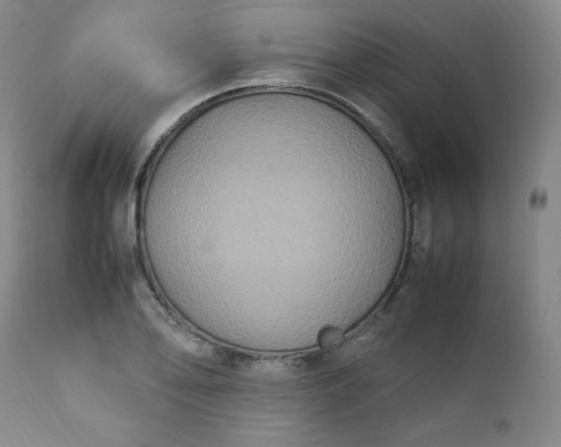 X0000112211078200908211513