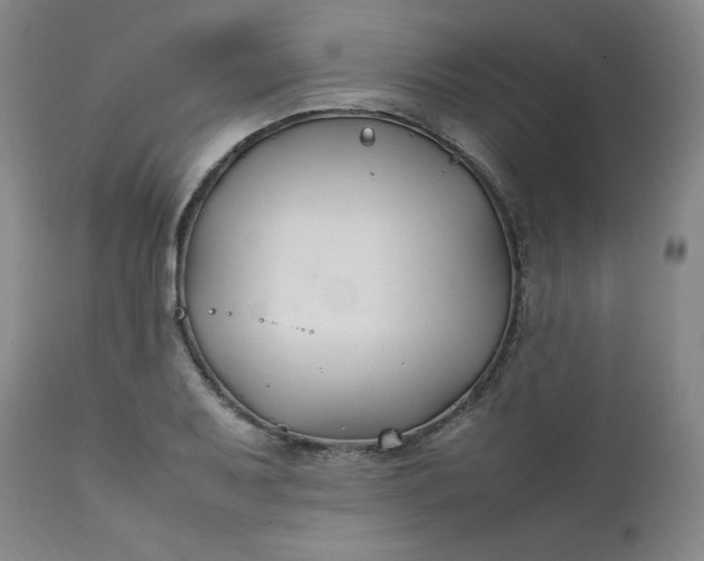 X0000112211079200908211513