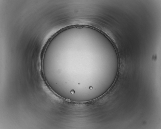 X0000112211080200908211513