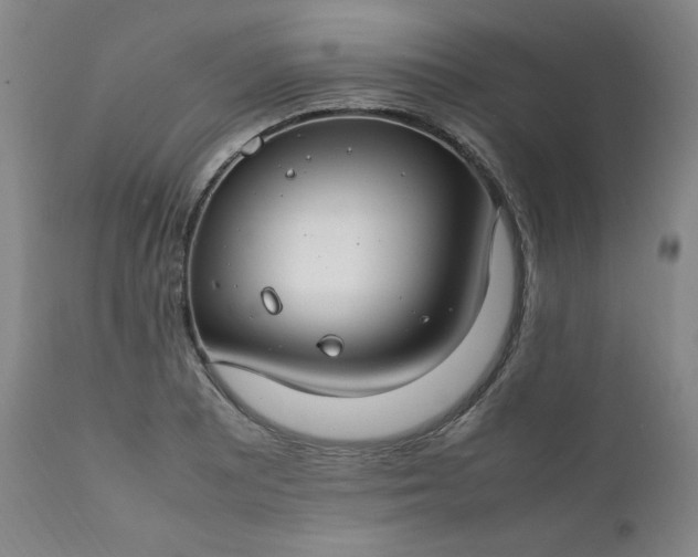 X0000112211081200908211513