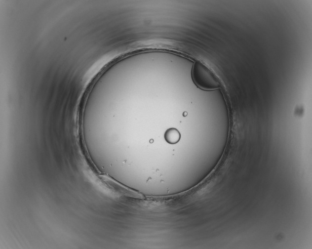 X0000112211082200908211513