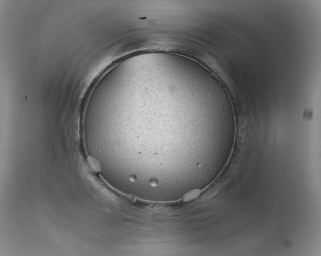 X0000112211083200908211513