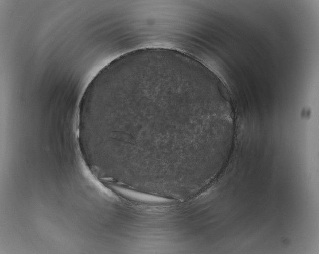 X0000112211084200908211513