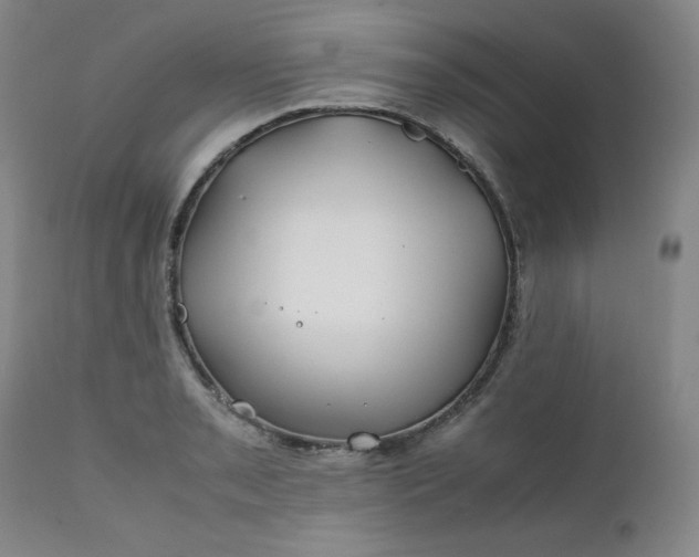 X0000112211085200908211513