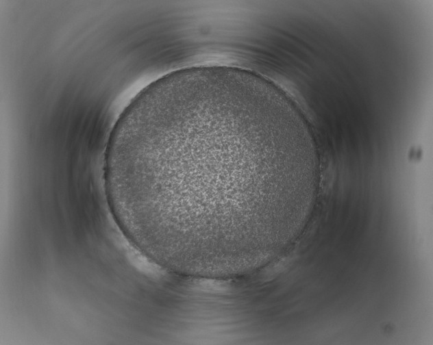 X0000112211086200908211513