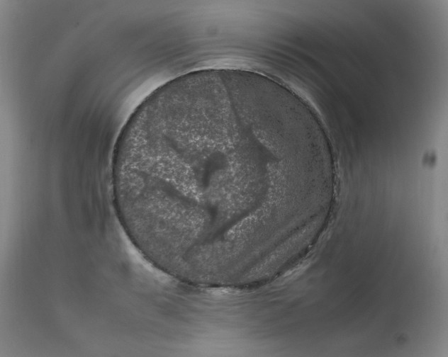 X0000112211087200908211513