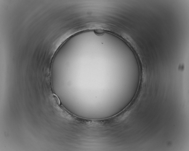 X0000112211089200908211513