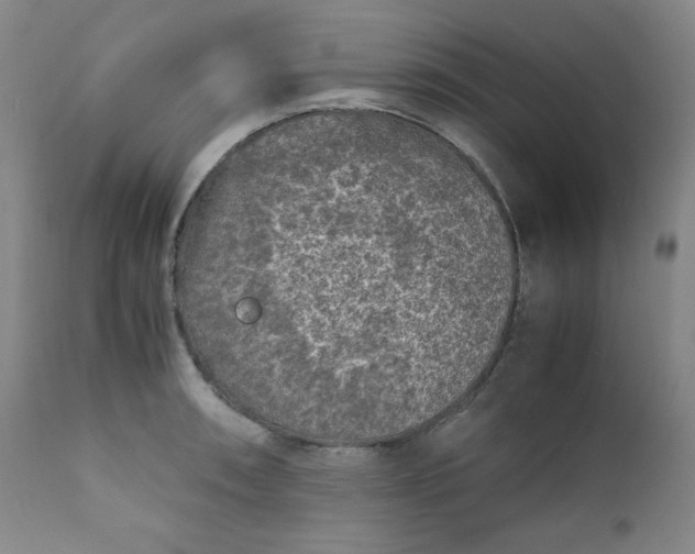 X0000112211090200908211513