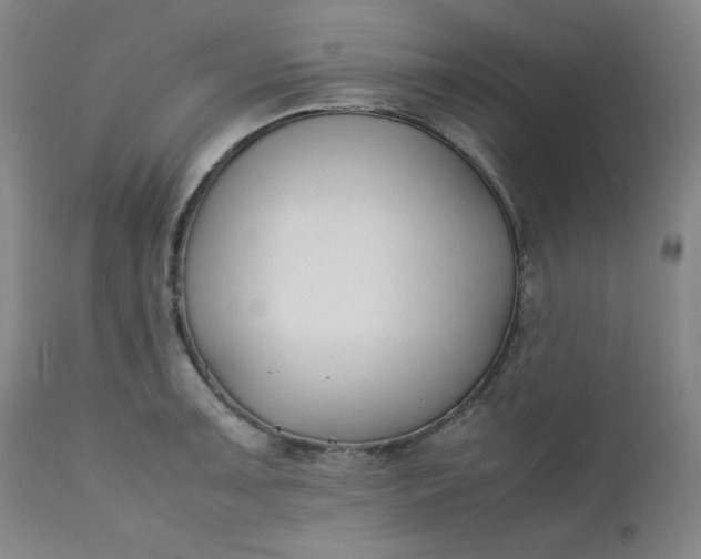 X0000112211091200908211513