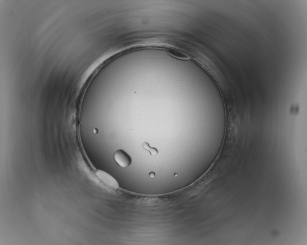 X0000112211092200908211513