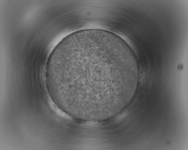 X0000112211094200908211513