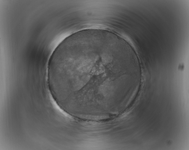 X0000112211095200908211513