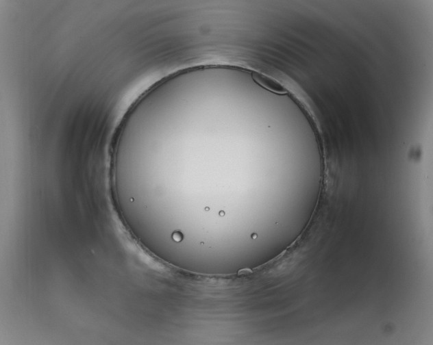 X0000112211096200908211513