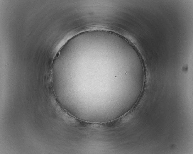 X0000112211097200908211513