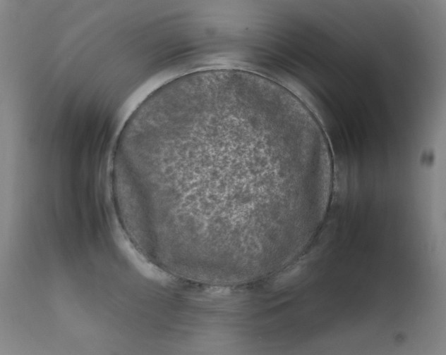 X0000112211098200908211513