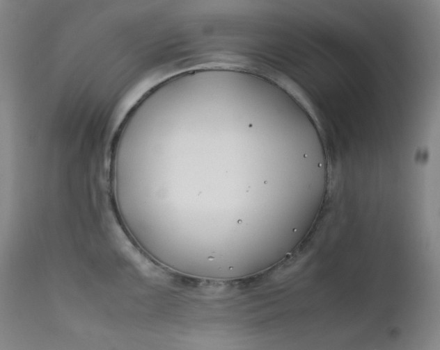 X0000112211099200908211513