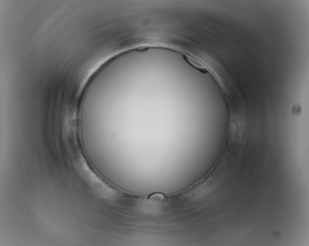 X0000112211100200908211513