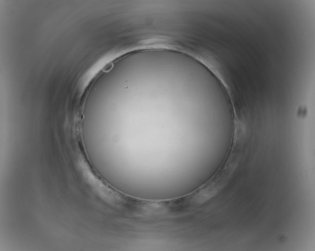 X0000112211101200908211513