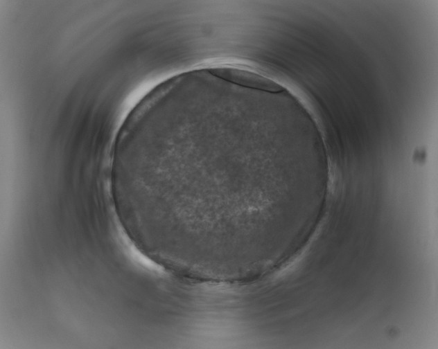 X0000112211102200908211513