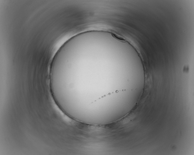 X0000112211103200908211513