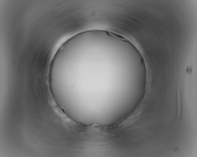 X0000112211104200908211513